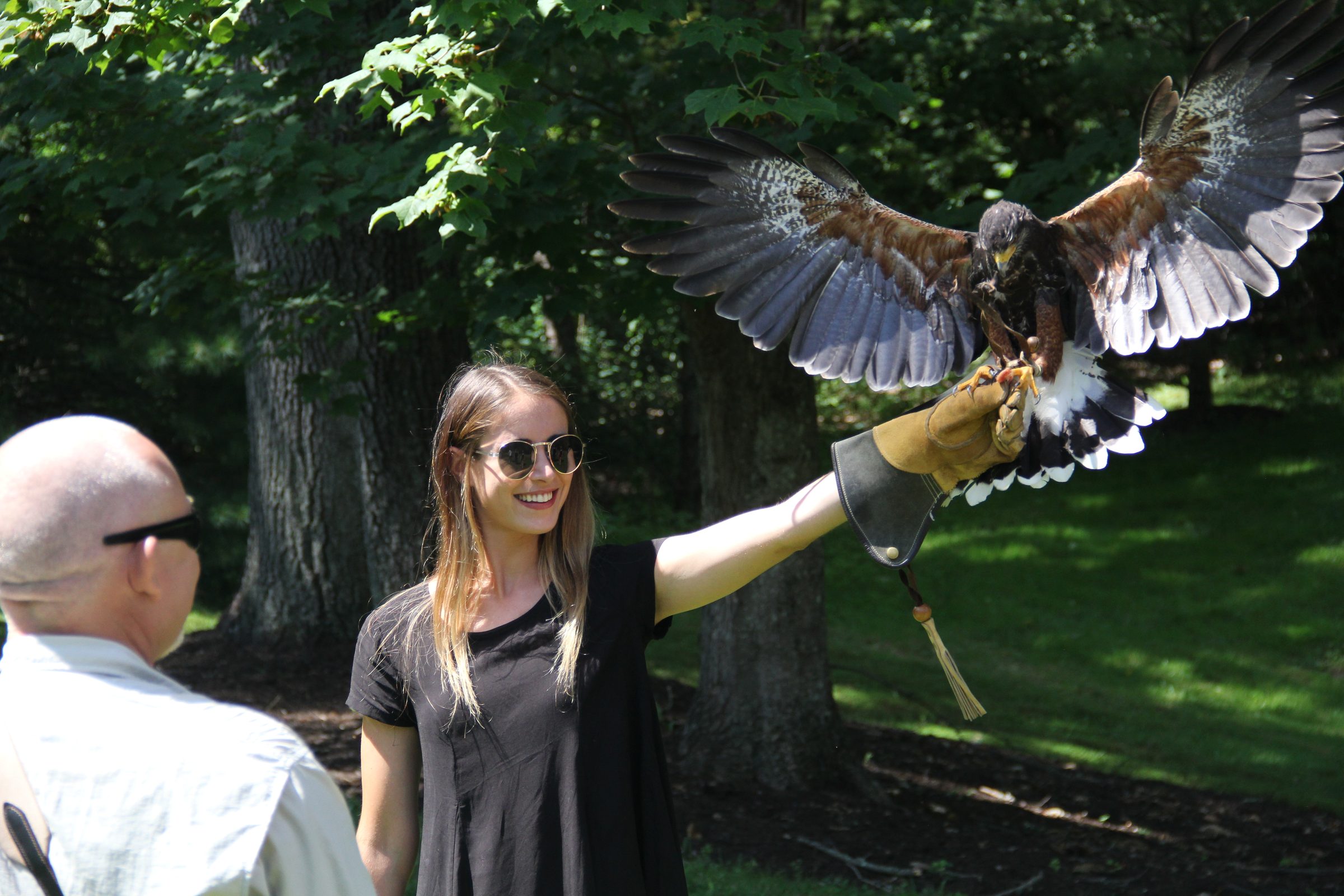 Falconry Lessons