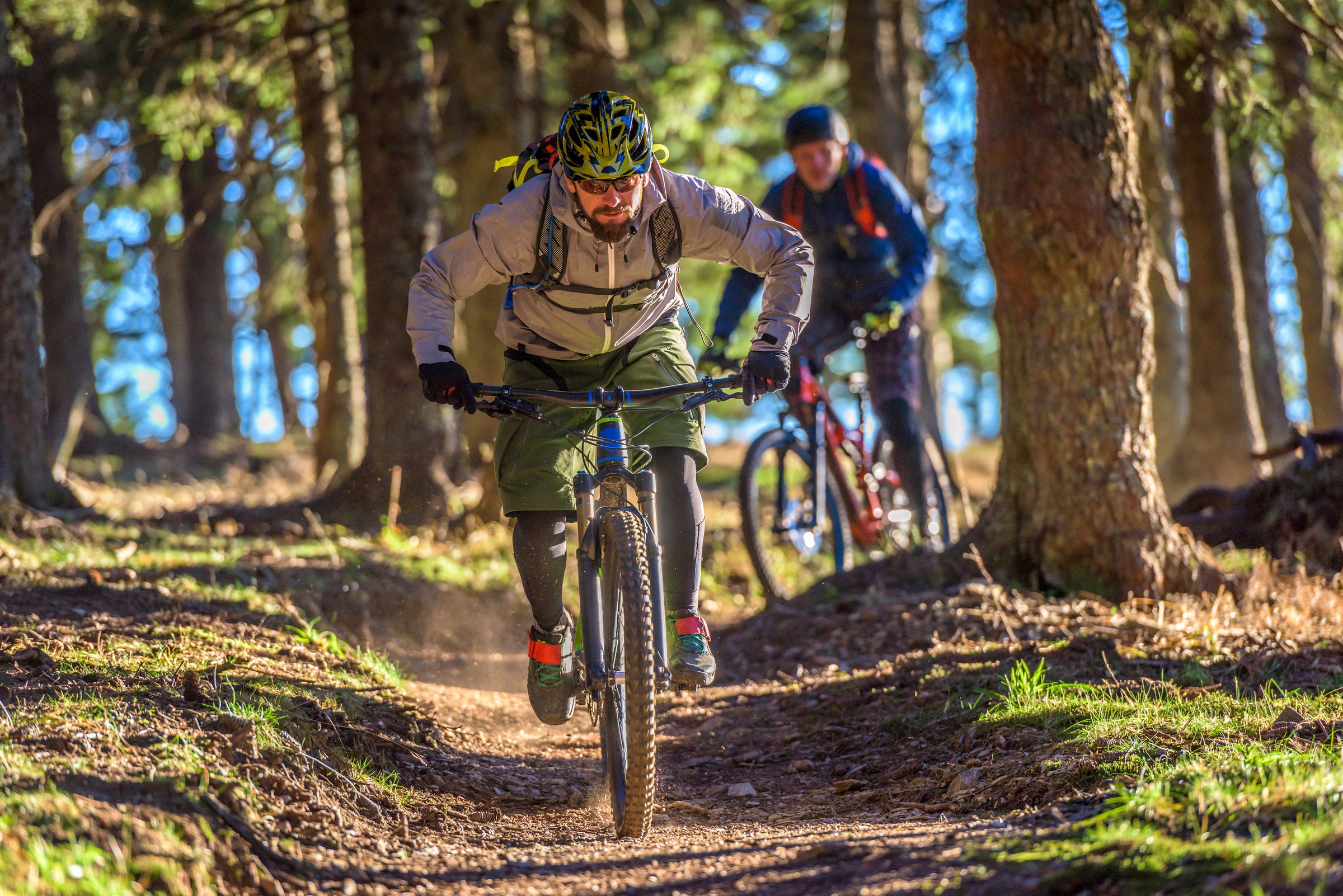Bike Rentals