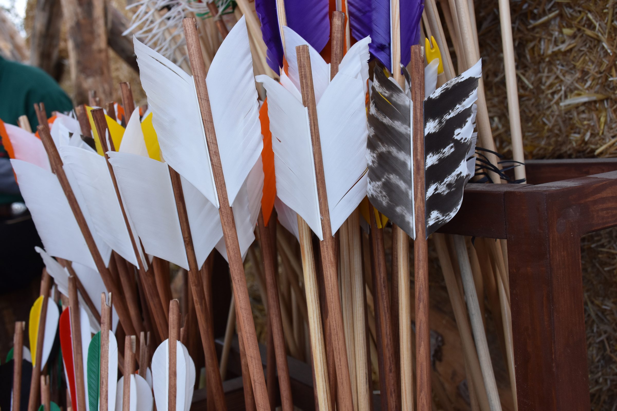 Sporting Arrows